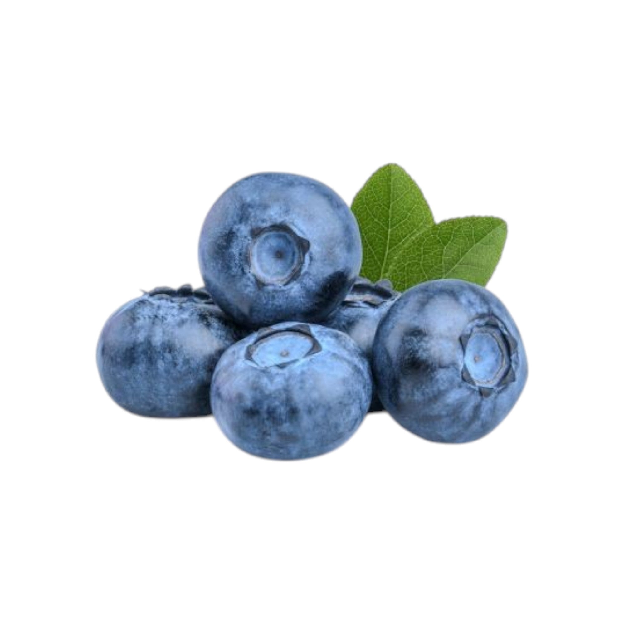 BLUEBERRIES 125gr
