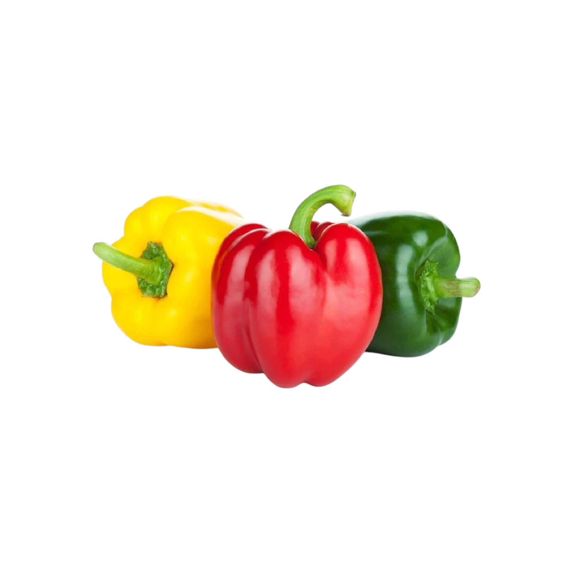 FRESH PEPPER (DOLMALIK BIBER) 500g